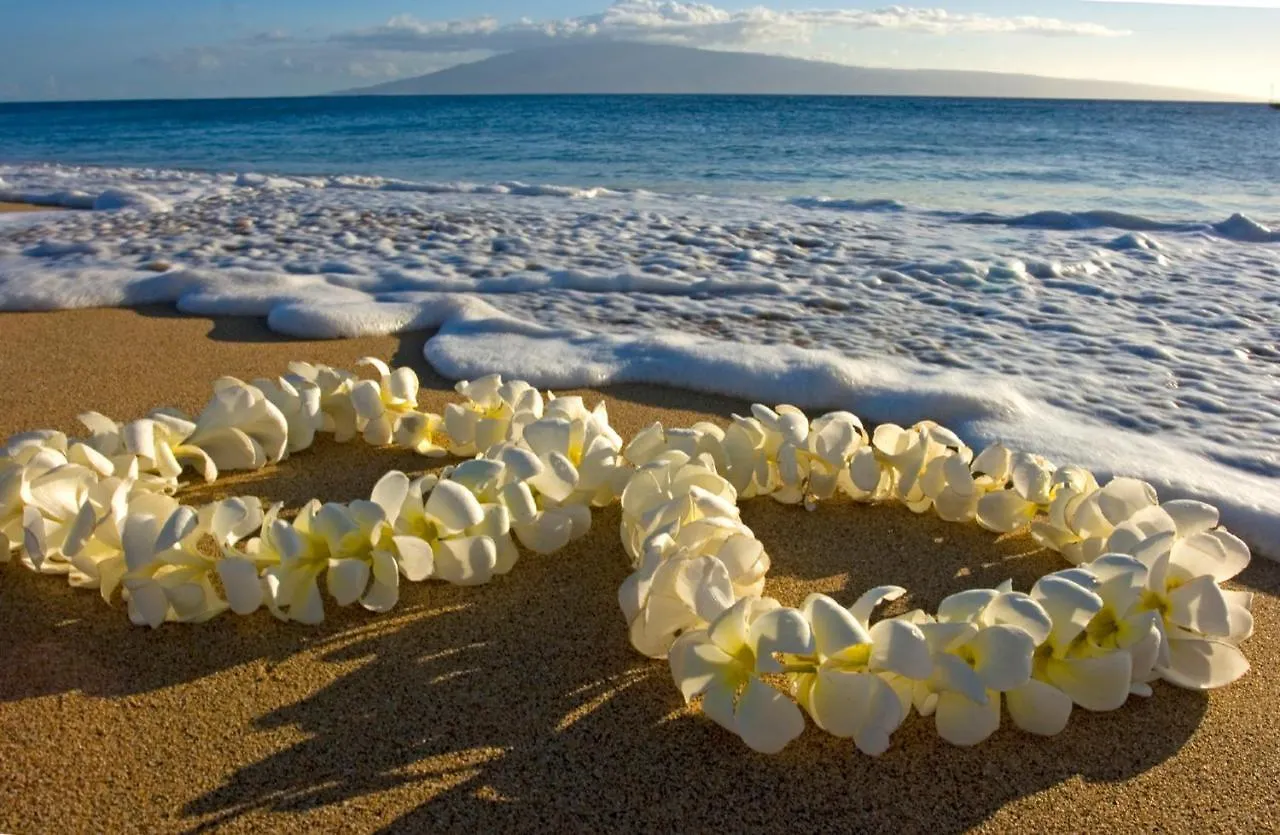 Beautifully Remodeled Ocean View Condo With Free Parking Honolulu